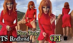 TS Redhead SLAVE TASKS CEI