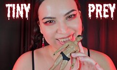 Tiny Prey - Giantess Vampiress Countess Wednesday Mesmerizes You - Vampire Vore, Biting, Licking, Eye Contact MP4 1080p