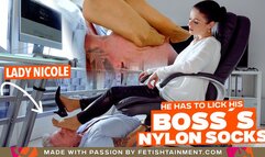 I am the boss and he has to lick my nylon socks under the desk ( Foot Domination with Nylon Socks - Lady Nicole ) - 4K UHD MP4