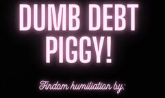 DUMB DEBT PIGGY! MP3 FINDOM AUDIO