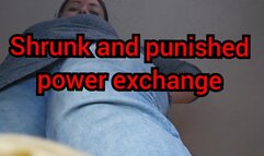 Shrunk and punished, power exchange