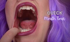 Quick Mouth Tour