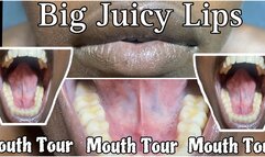 Rowanie’s Mouth Tour Big Wide Open With Her Huge Lips and Big Teeth watch Her play with Her Tongue licking Around Her Mouth HD MP4