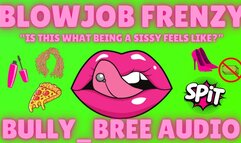 Blowjob Frenzy Audio