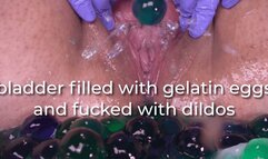 bladder filled with gelatin eggs and fucked with dildos - uncaptioned