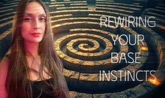 Financial Submission Trance: Rewiring Your Base Instincts