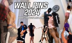 Wall Pins - 2024