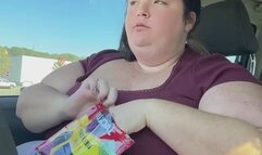 eating in the car