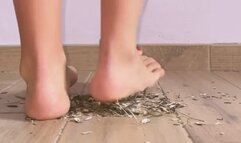 Girl stomping and jumping over dry grass on floor barefoot - crush fetish soles and feet