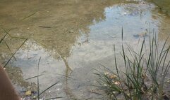 Fifi walking and splashing in the creek in black knee high boots to see how waterproof they are they *new*