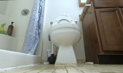 Giantess - You are but a Speck, a mere blip in a Giantess World POV, toilet fetish, Shrinking fetish  1080