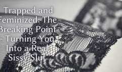 The NLP toolbox: Trapped and Feminized - The Breaking Point - Turning You Into a Real Sissy Slut