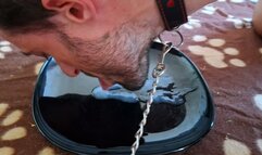 Mistress makes her slave boy lick up his own cum from a plate