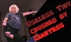 Useless Tiny Crushed By Giantess Goddess