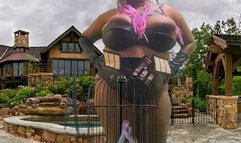 Shrinking fetish - Giantess MXDominion has fun teasing her new tiny pet while its in its cage, female domination, giantess special effects, giantess  1080