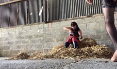 Sissy Has OTK Spanking In The Straw Barn