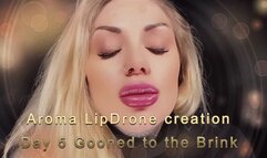 Aroma LipDrone creation - Day 5 Gooned to the Brink WMV