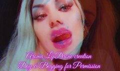 Aroma LipDrone creation - Day 6 Begging for Permission WMV