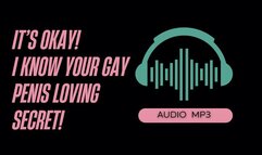 I Know Your Gay Penis Loving Secret (AUDIO MP3)