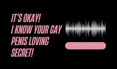 I Know Your Gay Penis Loving Secret (AUDIO MP4)