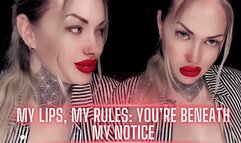 My Lips, My Rules: You’re Beneath My Notice WMV