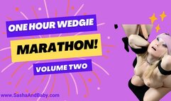 Volume 2 - ONE HOUR WEDGIE MARATHON - Incredible wedgie action