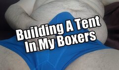 Building A Tent In My Boxers - KingMarti Rubs his cock till it's hard through his tight boxers berifs