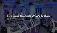 Final Milking