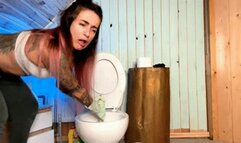 Cleaning & Dirtying the toilet! wmv