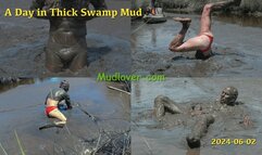 A Day in Thick Swamp Mud, 2024-06-02