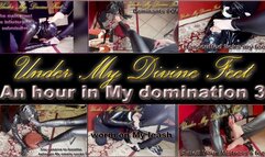 An hour in My domination 3 (special price)