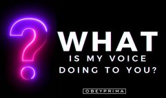 What Is My Voice Doing To You? (MP3)