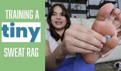 Training A Tiny Sweat Rag