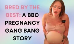 Bred By the Best: BBC Gang Bang Story MP4