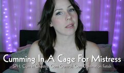 Cumming In A Cage For Mistress