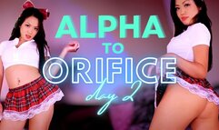 Alpha to Orifice Day 2 - 720p