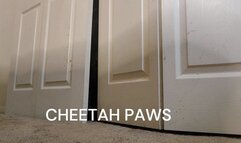 CHEETAH PAWS PT 2