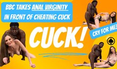 BBC Takes Anal Virginity in Front of Cheating Cuck with Lucy Aura