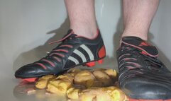 Adidas Predator Pulse HG crush potato