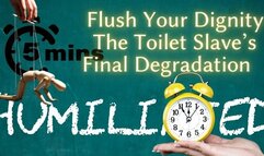 ShameStream: Flush Your Dignity - The Toilet Slave’s Final Degradation