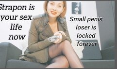 Strapon is your new sex life, chastity encouragement for a loser