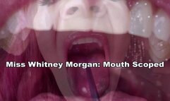 Miss Whitney Morgan Mouth Scoped - mp4