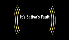 It's Sativa's Fault (1080p)