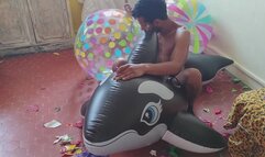 Didier puncture an orca and destroy 2 beach balloons