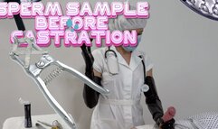 SPERM SAMPLE BEFORE CASTRATION WITH LONG LATEX GLOVES (MOV)