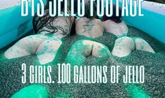 Female jello wrestling: behind the scenes