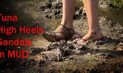 High Heels Sandals Destruction, High Heels in Mud, High Heels Stuck im Mud, Shoes in Mud, Sandals in Mud