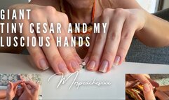 Giant handjobs humiliation - my girlfriend's exciting best fingers