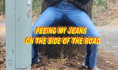 Wetting my jeans on the side of the road