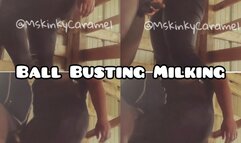 Ball Busting Milking